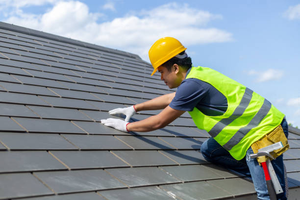Best Gutter Installation and Roofing  in Trowbridge Park, MI