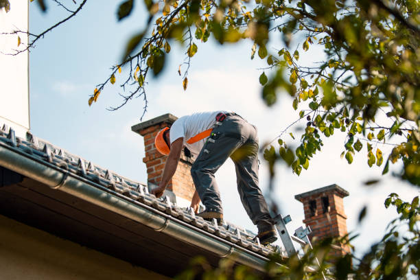 Best Roofing Contractor Near Me  in Trowbridge Park, MI