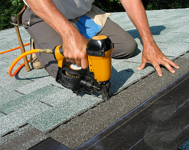 Best Local Roofing Companies  in Trowbridge Park, MI