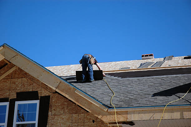 Best Roof Maintenance Services  in Trowbridge Park, MI