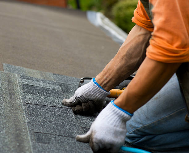 Best Storm Damage Roof Repair  in Trowbridge Park, MI